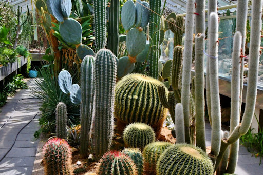 Tiergehege im Botanischen Garten Chemnitz - Thumbnail