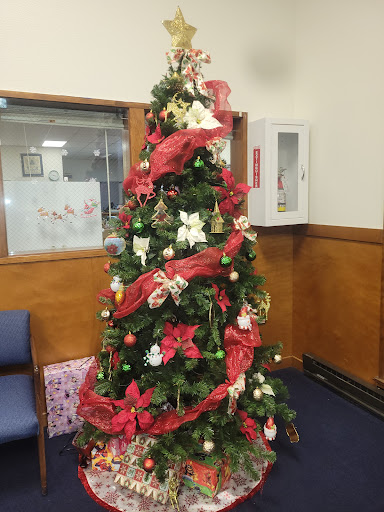 Afifi Shriners Gallery - United States