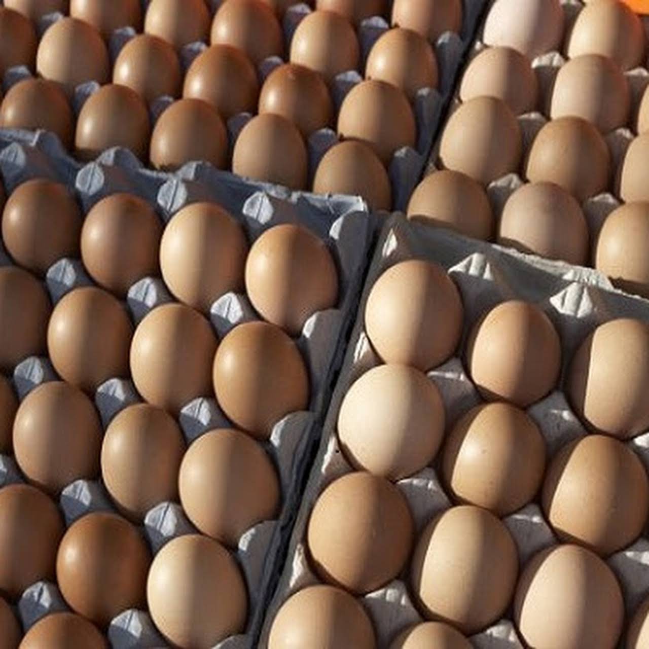 Eggs Suppliers lahore we are the best eggs suppliers in lahore. with