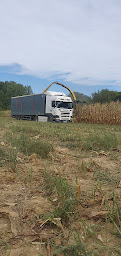 Photo n°11 de Cazenave Pascal à Marpaps (Service agricole)