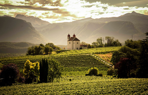St. Michael-Eppan Winery - Visual
