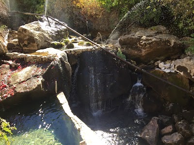 Photos of Karapınar Balık&Motel