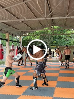 The Bear Fight Club Muay Thai Chiangmai