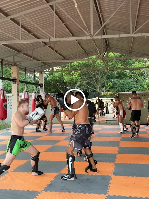 The Bear Fight Club Muay Thai Chiangmai