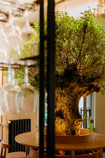 the morning after (the night before)