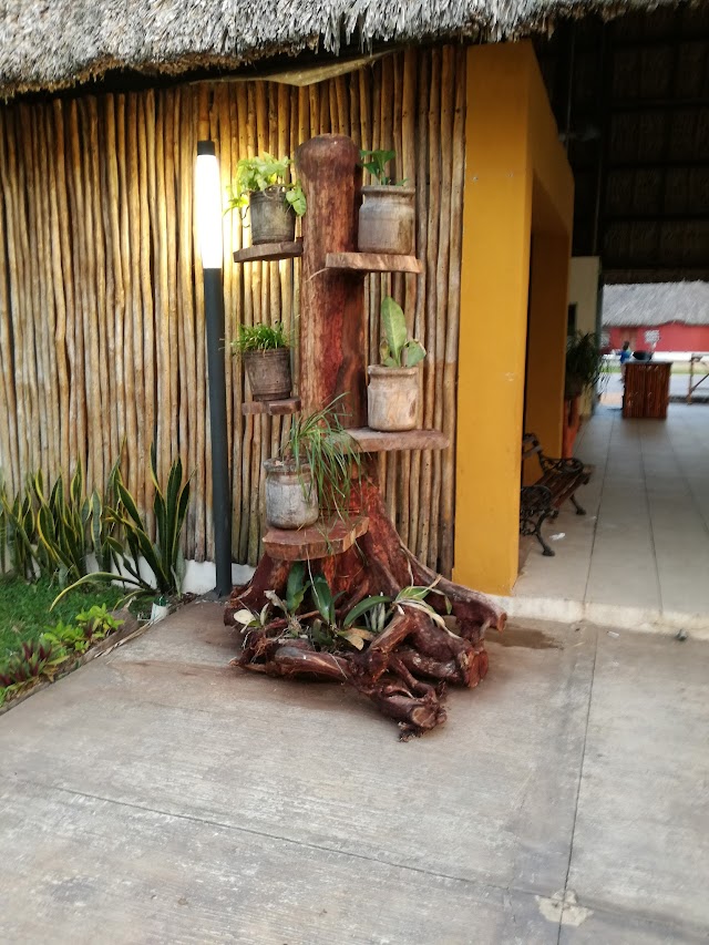 Cenote