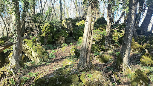 Bosco di San Marco In Lamis - Thumbnail