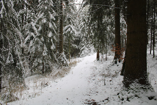Wanderweg Roßthal