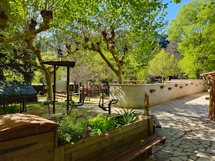 Photo n°5 de Camp des Gorges | Camping Site Nature à Vallon-Pont-d'Arc (Terrain de camping)