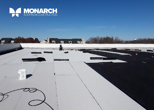 Monarch - Thumbnail