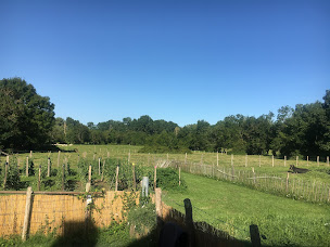 Photo n°13 de Maison d'Hôtes Port Philibert à Magné (Chambre d'hôtes)