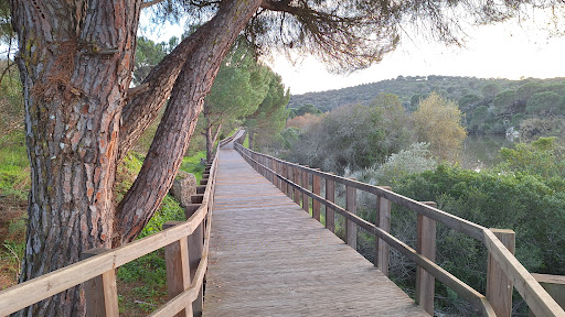Parque Ecológico do Gameiro - Thumbnail