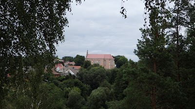 Photos of Merkinės &Scaron;vc. Mergelės Marijos Ėmimo į dangu bažnyčia