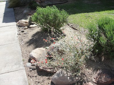 Alamogordo Public Library