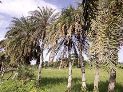 Photos of লেকের পাড়, সন্ন্যাসগাছা