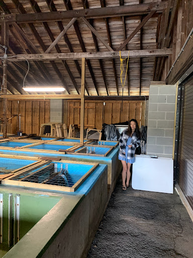 Catskill Fish Hatchery - NYS DEC - Thumbnail