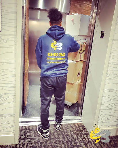 Bee Ready Movers - Visual