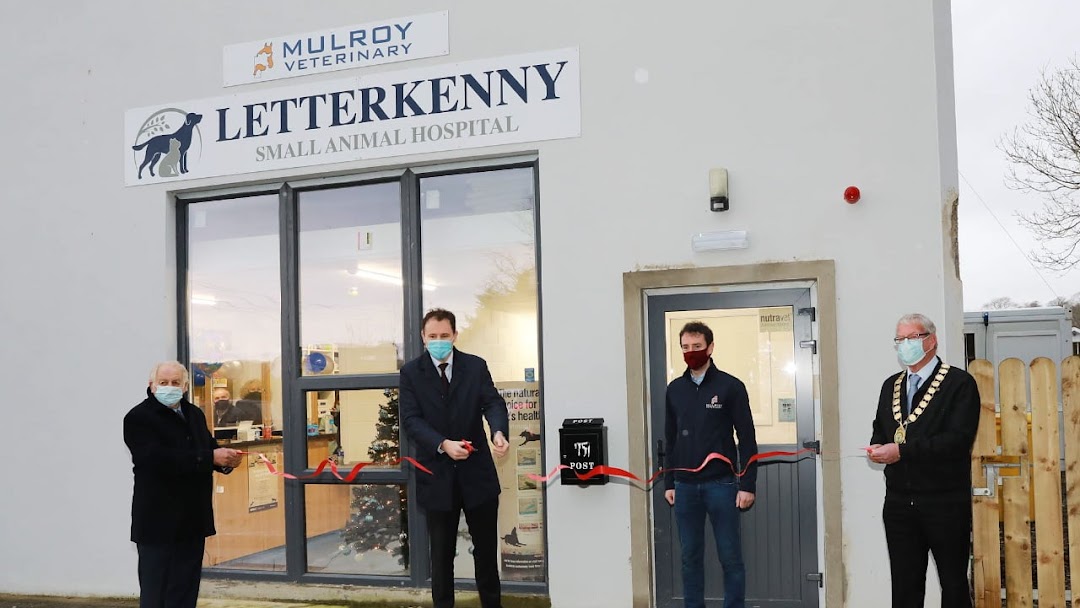 Letterkenny Small Animal Veterinary Veterinarian in Letterkenny