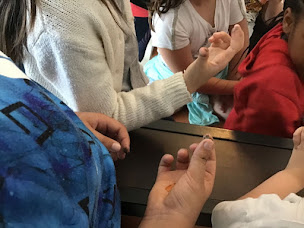 Photo n°9 de Ecole primaire privée Saint Nicolas à Le Havre (École d'enseignement général)