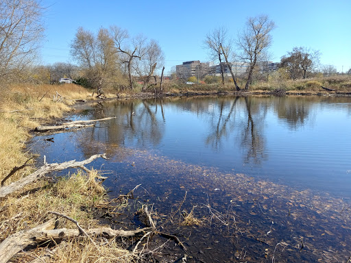 Barrington Road Pond - Thumbnail