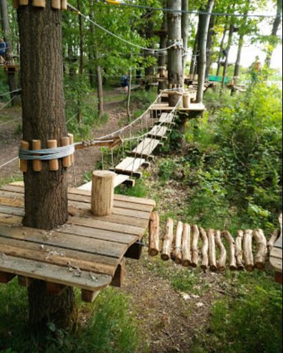 KLETTERWALD KOALA Gallery - Germany