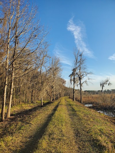 Barr Hammock Preserve