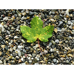 Photo n°2 de Ecole de Formation en Posturologie Clinique à Champigny-sur-Marne (Ostéopathe)
