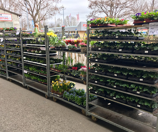 KINGKAUF - Unser Multidiscounter - Visual
