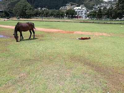 Photos of Nuwara Eliya Race Course Ground