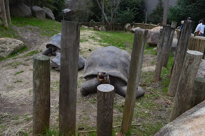 Tortoise Park