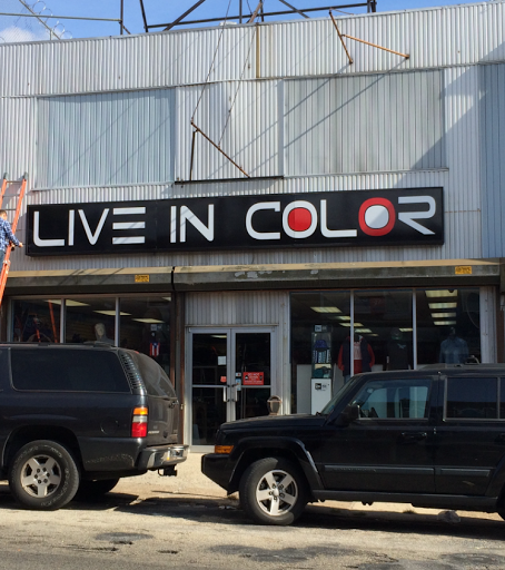 Live In Color Logo