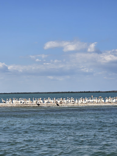 Cape Haze Aquatic Preserve - Thumbnail