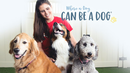 Camp Bow Wow Anaheim