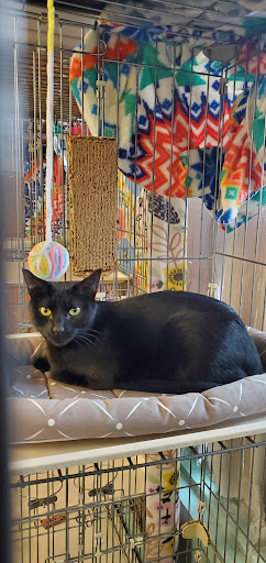 Amwell Pet Supply - Thumbnail