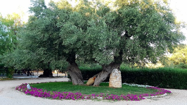 Alloggi Agrituristici Lamacavallo