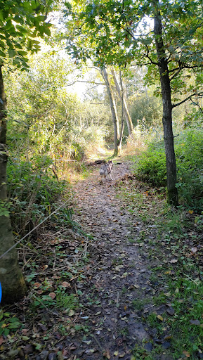 Ossermeer-Bos (Oude Osse zwembad) Gallery - Netherlands