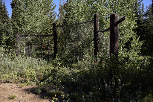 Father and Sons Campground - Thumbnail