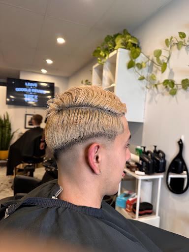 David_barbercuts 🦈🐋🐙
