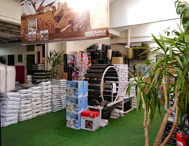 Culture Indoor