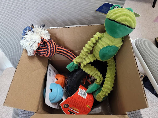 Wiggies - Visual
