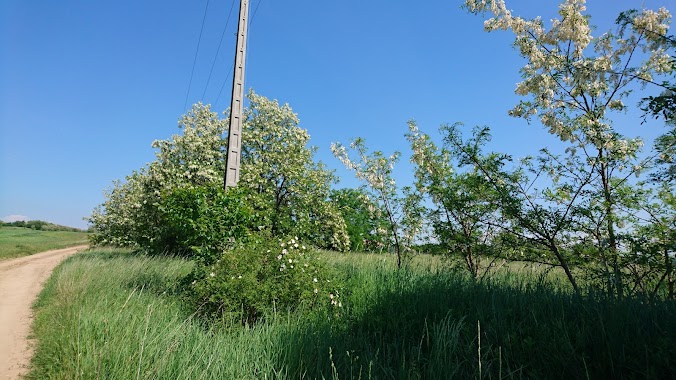 Uriember park., Author: Zita Nagyné