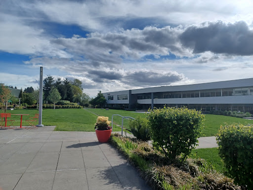 Google Building C - Visual