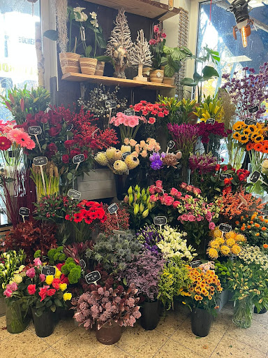 Blumen Chrischan Blumenboutique Gallery - Germany