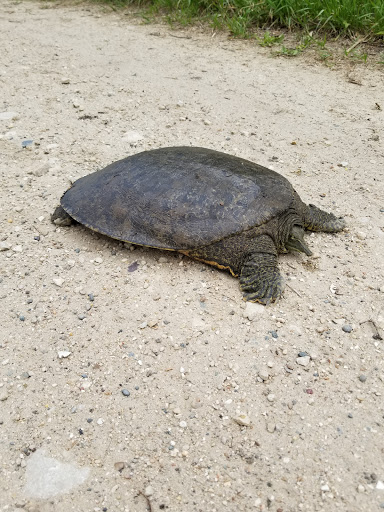 Gilbertson Nature Center - Thumbnail