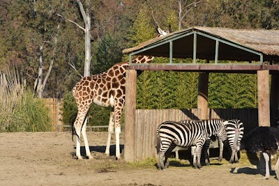 Izmir Wildlife Park