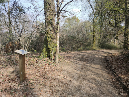 Boucle du Sentier forestier du Laring - Thumbnail
