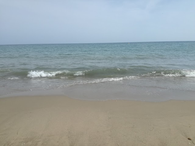 Platja de la Murtra