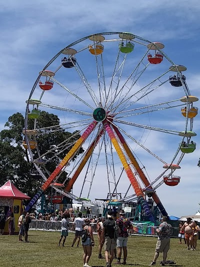 Bonnaroo Arts And Music Festival