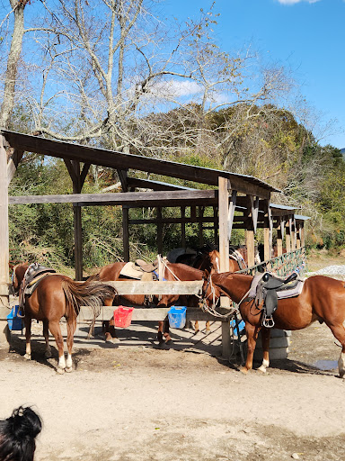 Dillard House Stables - Thumbnail