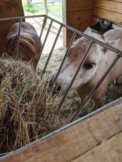 Heritage Farm Petting Zoo Center